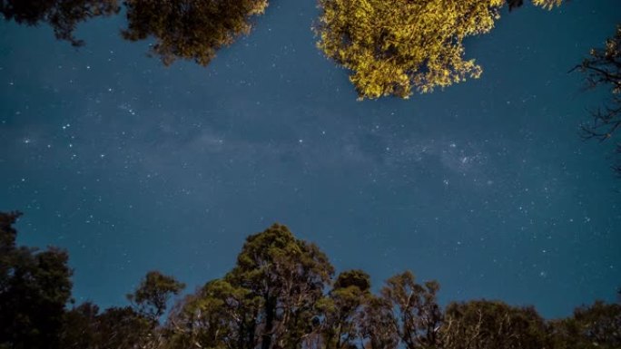 雨林中的夜空星空轨迹