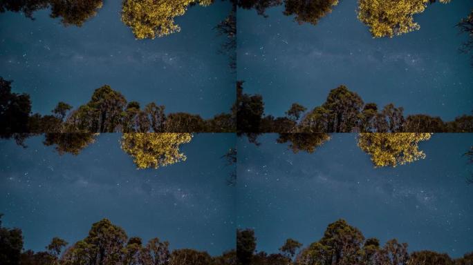 雨林中的夜空星空轨迹