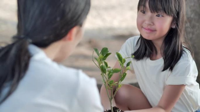 植树在志愿者家庭的手中，以实现生态和企业社会责任运动概念。地球日拯救环境概念。种植苗木林。志愿服务，