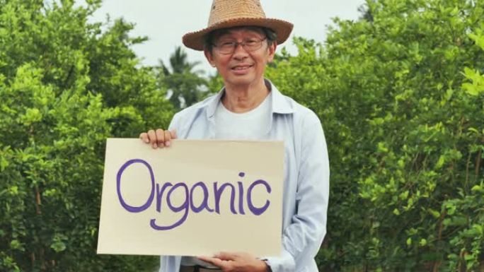 拿着纸卡的高级男子有机。农业，园艺，农业，收获和人的概念，有机农业概念，高级企业家