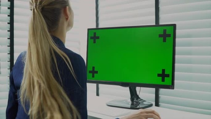女商人使用电脑显示器绿屏