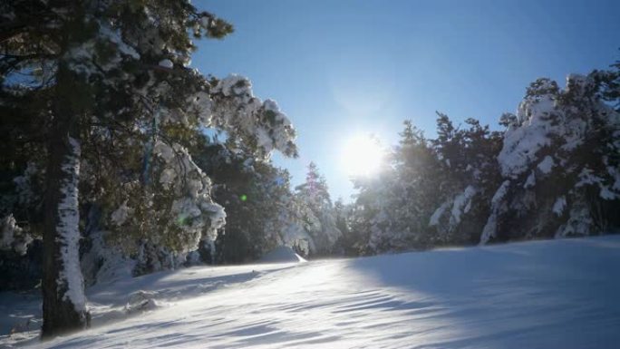 冬日阳光冬季景色自然景观下雪素材