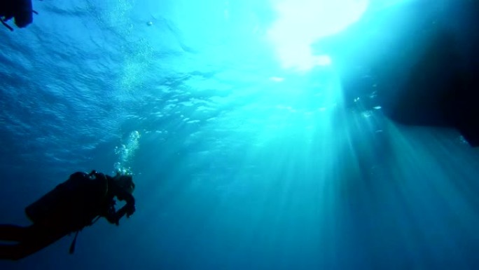 水下生命。在宁静的海洋中潜水