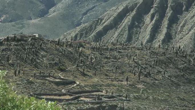 山上的考古遗迹。在阿根廷高原拍摄。