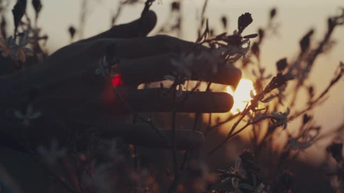 欢迎来到流浪癖视频素材夕阳抚摸黄昏落日