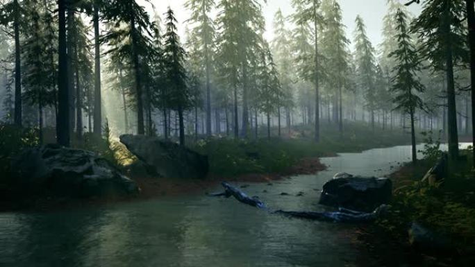 日落时，安静的河流穿过云杉森林