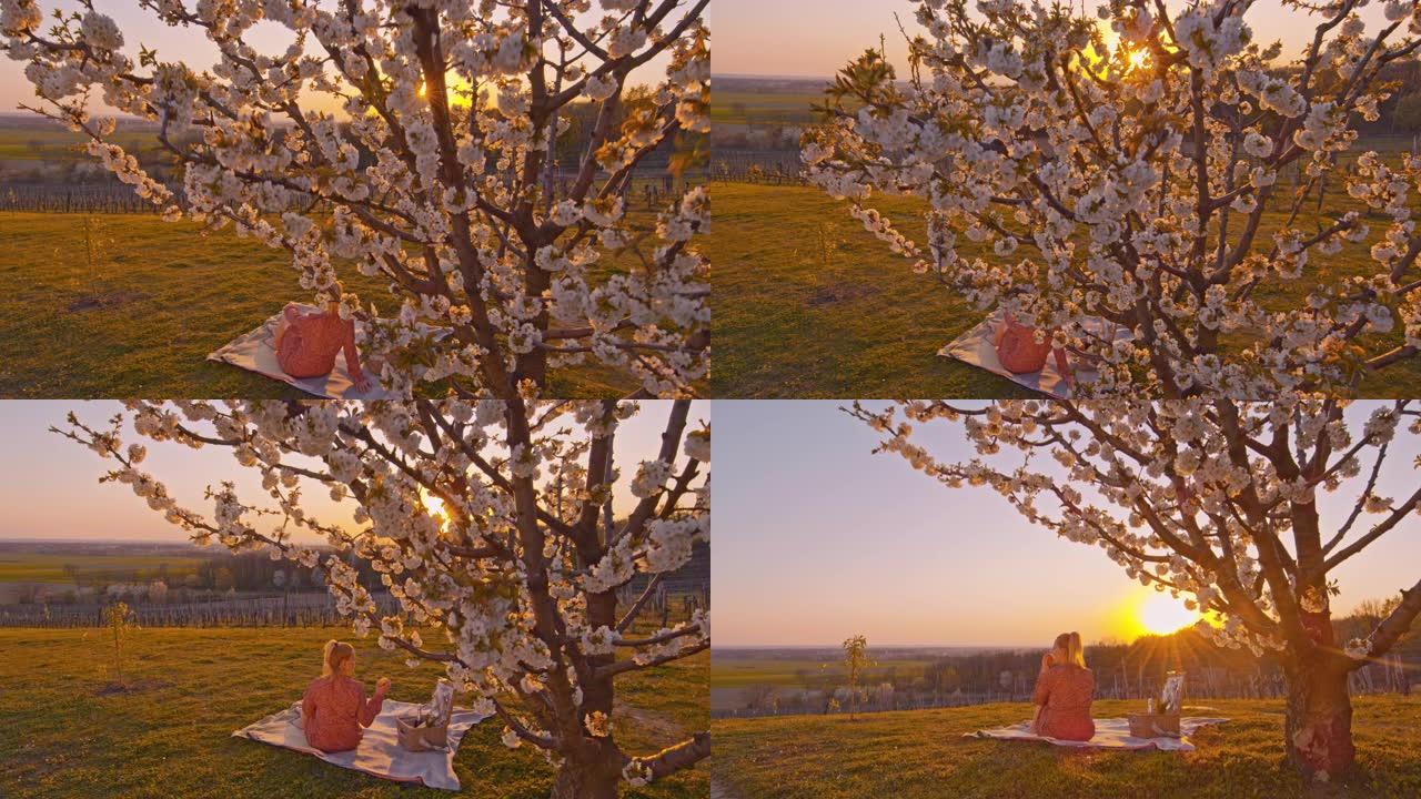 WS年轻女子在日落时田园诗般的乡村山上的樱花树下享受野餐