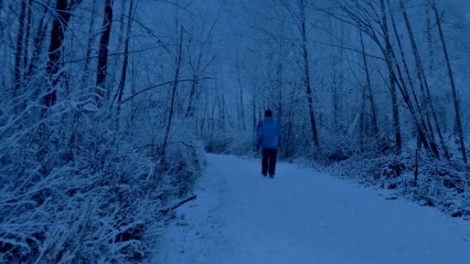 当天晚些时候，男子在白雪皑皑的公园小径上走过
