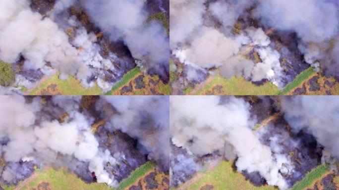 鸟瞰图森林大火正在燃烧