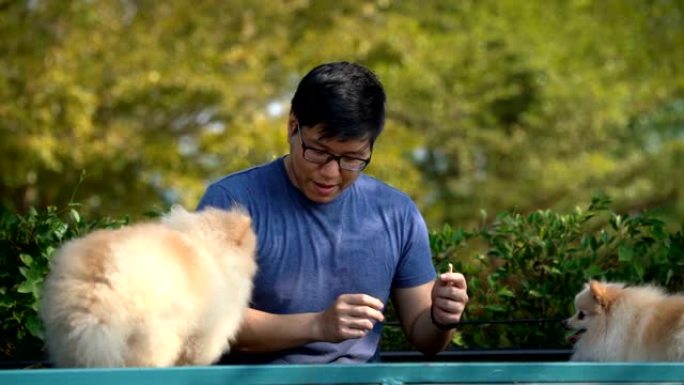 SLO MO-亚洲人训练他的狗