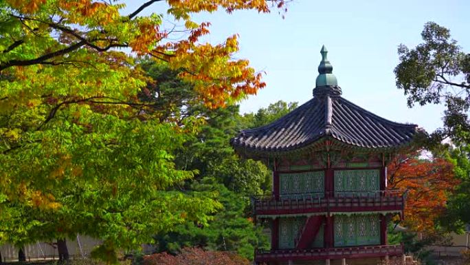 韩国秋季的景福宫古塔古寺寺庙建筑