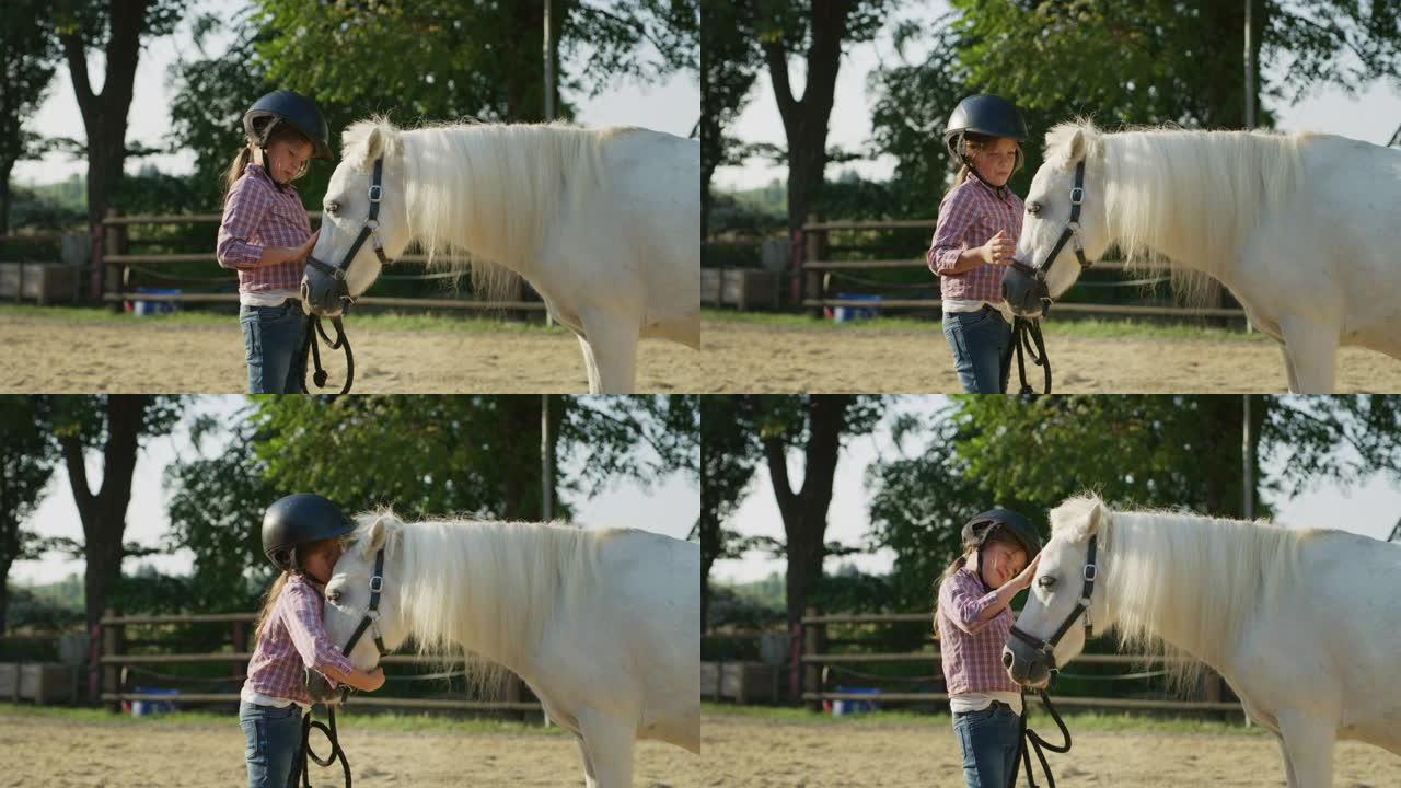 真实的照片，一个可爱的小女孩戴着骑师头盔，正在抚摸一匹白马在骑马厩与阳光