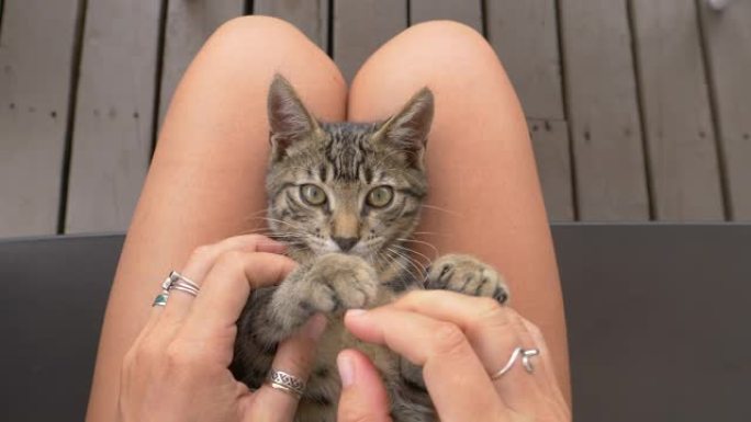 POV: 在你腿上抚摸一只小猫，而它调皮地抓伤你的手指。