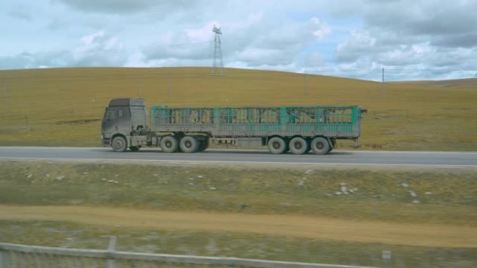 火车沿着一辆装有空拖车的大卡车行驶，用于运送牛。