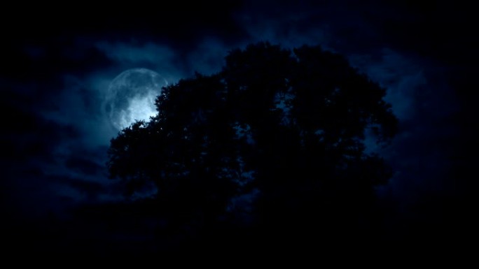 大树后面的月亮，可怕的云朵在移动