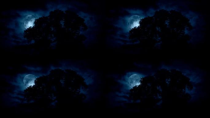 大树后面的月亮，可怕的云朵在移动