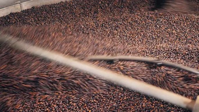 咖啡种子被工厂工具混合在一起