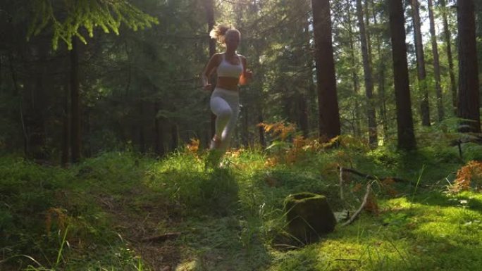 低角度: 运动的女人在美丽的阳光绿色森林中慢跑。