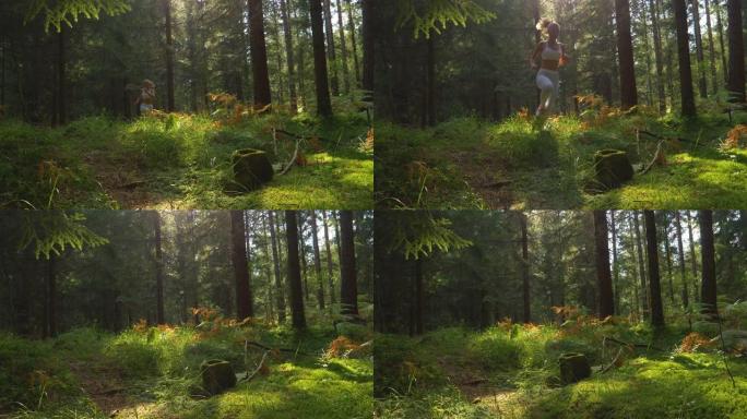低角度: 运动的女人在美丽的阳光绿色森林中慢跑。