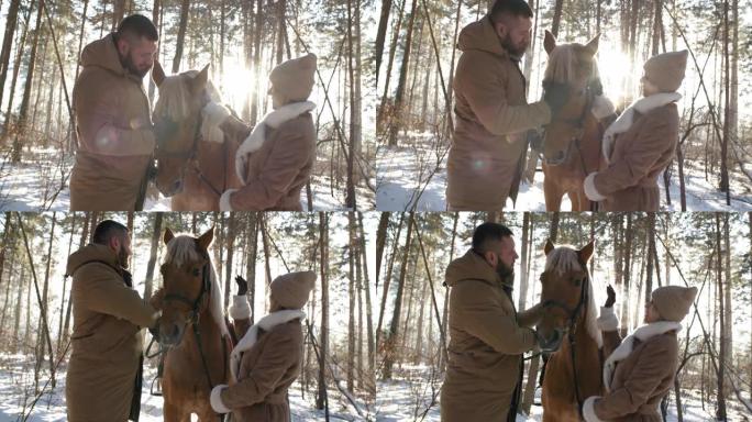 开朗的情侣爱抚马，在森林里聊天