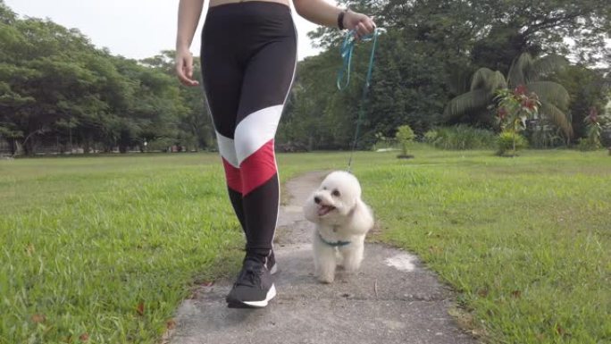 一名亚洲华裔女少年在公园里与玩具贵宾犬一起运动，穿着运动服
