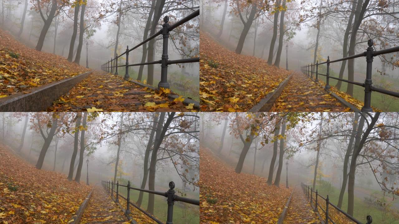 晨雾公园的秋天。照相机在潮湿的黄色树叶上抬起。4K
