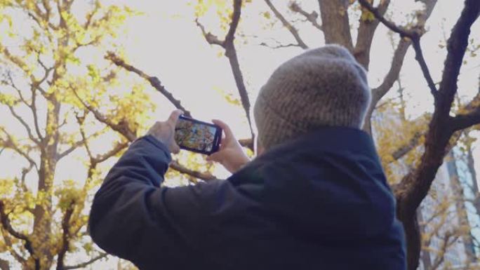 亚洲旅行者用智能手机拍摄秋叶照片。