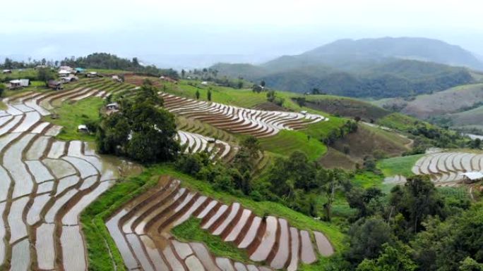 雨天泰国北部水稻梯田的鸟瞰图