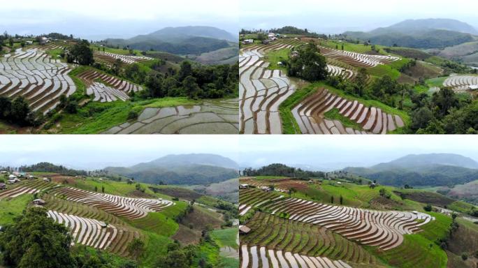 雨天泰国北部水稻梯田的鸟瞰图