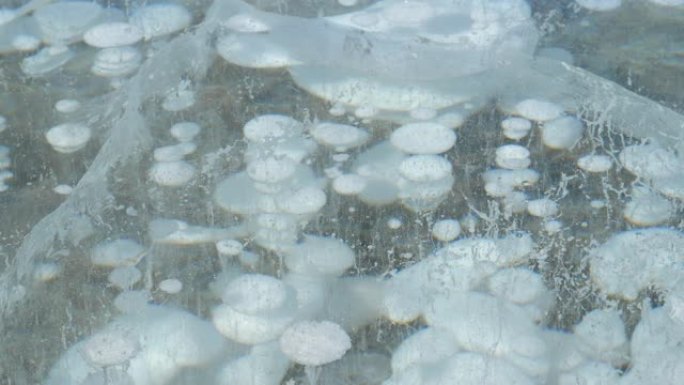 特写: 寒冷的冬天，气泡在亚伯拉罕湖的深处冻结。