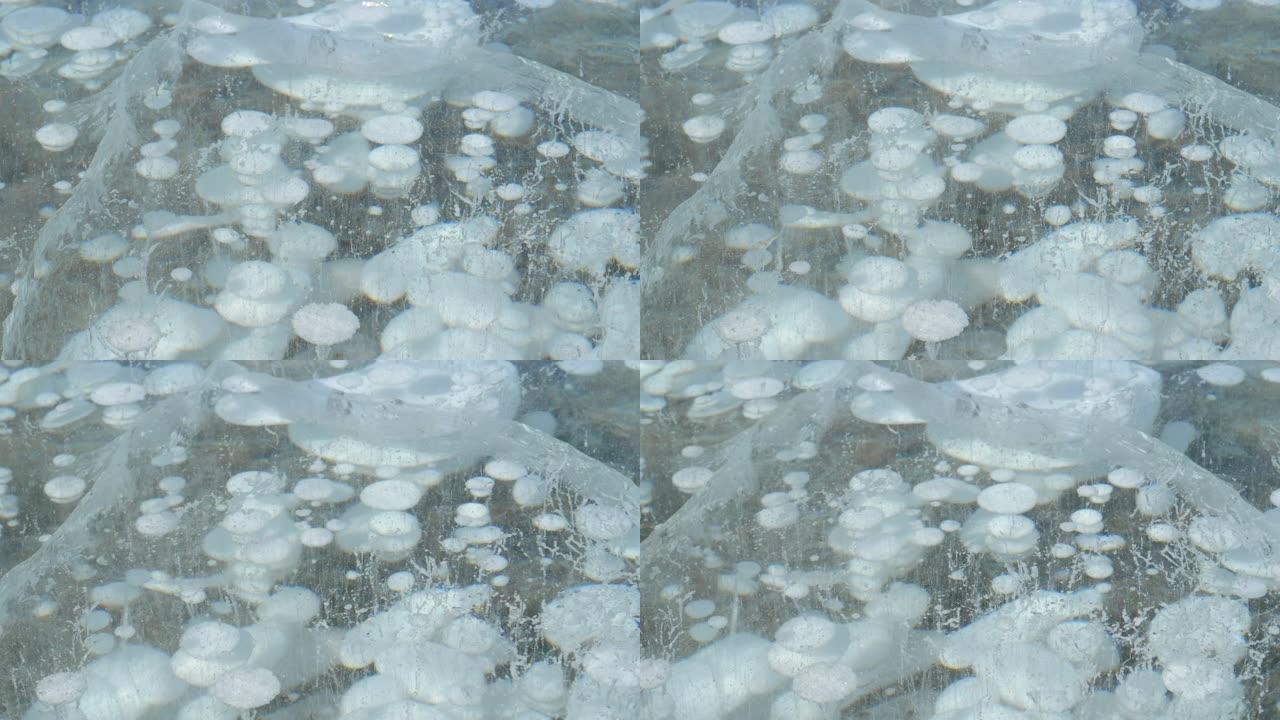 特写: 寒冷的冬天，气泡在亚伯拉罕湖的深处冻结。