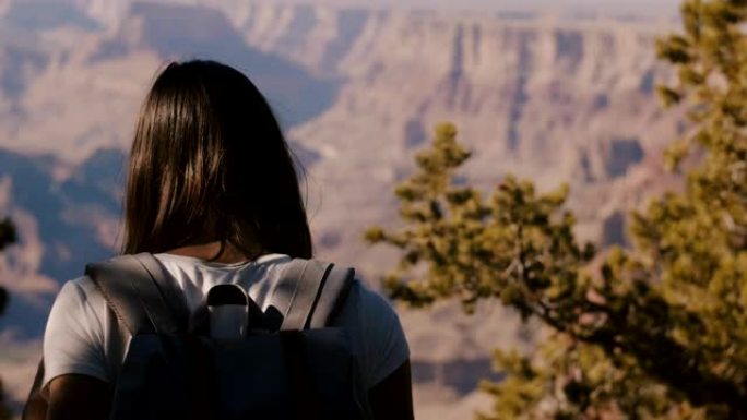 背景式年轻快乐旅行者女人背着背包走上前观看史诗般的夏季大峡谷全景风景。