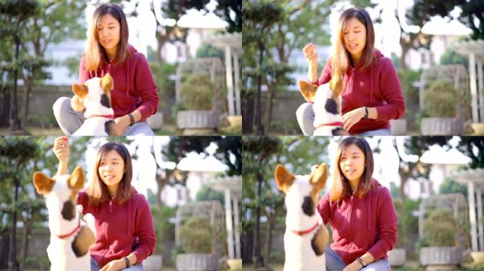 4k亚洲女子训练她的杰克罗素梗狗