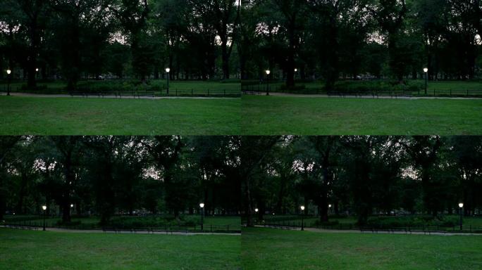 纽约中央公园的夜晚