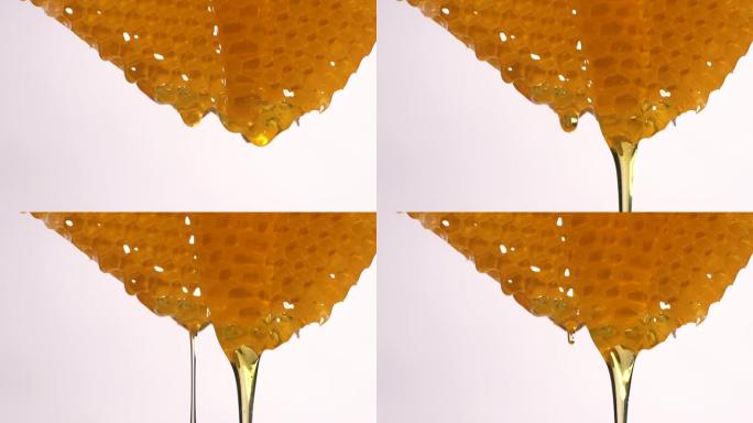 (慢动作) 蜂蜜从蜂窝中流出，有复制空间