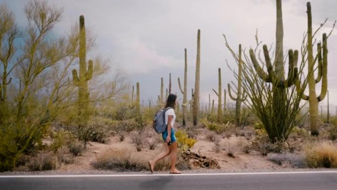 慢动作宽镜头，快乐的年轻成年旅游女子沿着国家公园令人惊叹的野生仙人掌沙漠路行走。