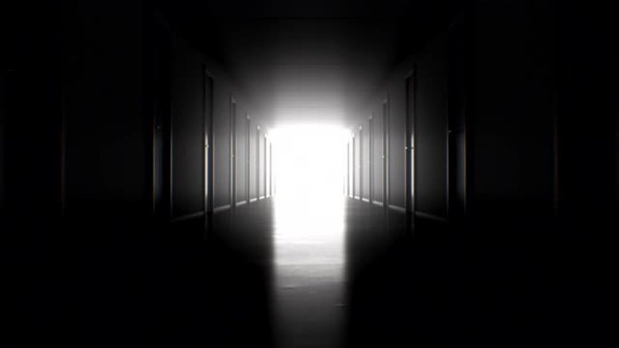 通过黑暗的走廊无缝运动，有许多封闭的门到达明亮的白色出口。循环3d动画光在最后。商业和技术概念。