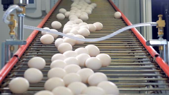 清洁鸡蛋在自动生产线上移动，关闭。