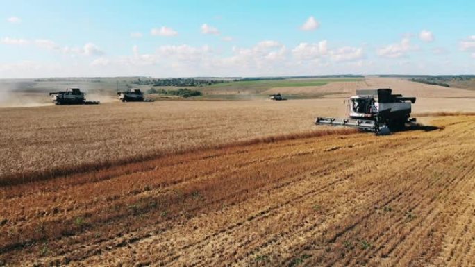 黑麦田正在被农业运输所修剪