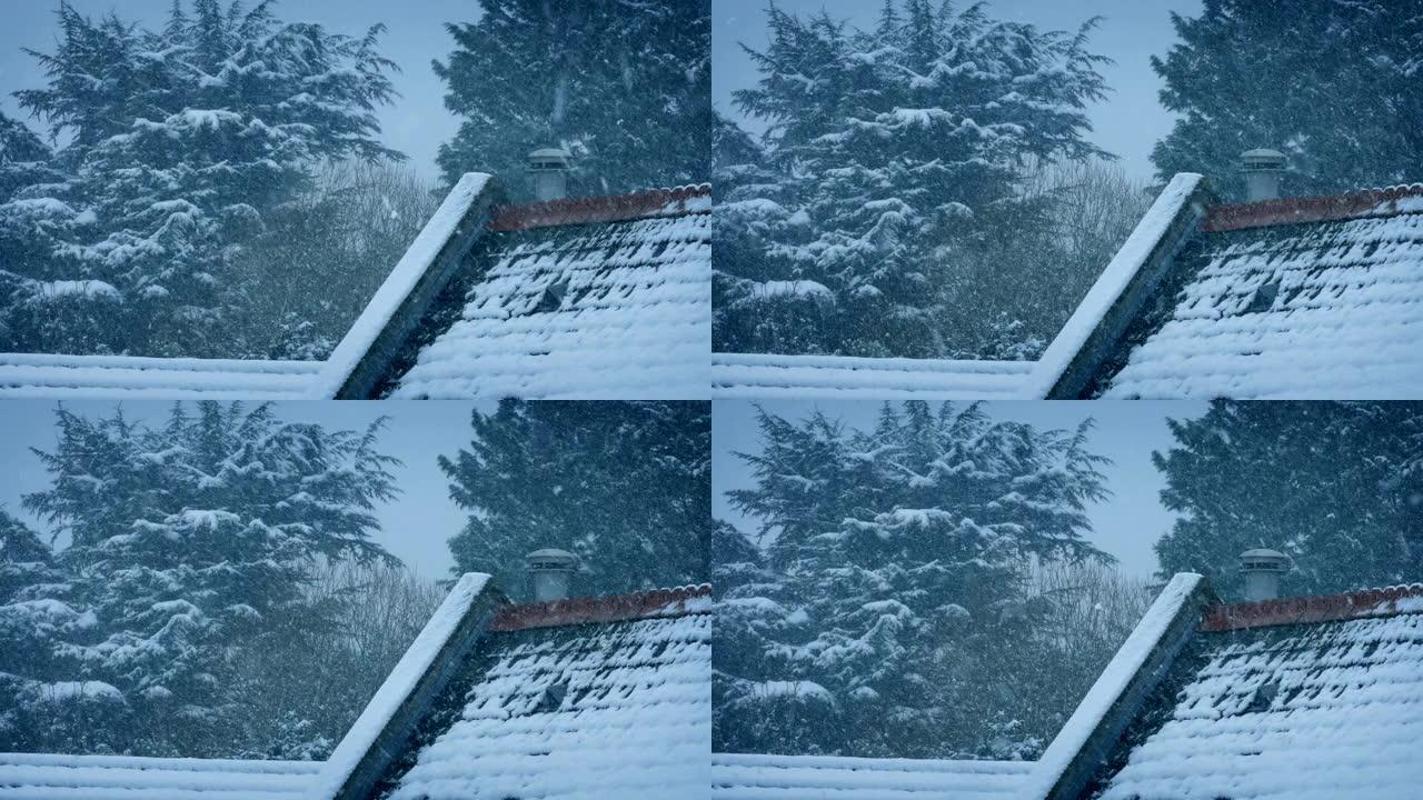 暴风雪中的树木和屋顶