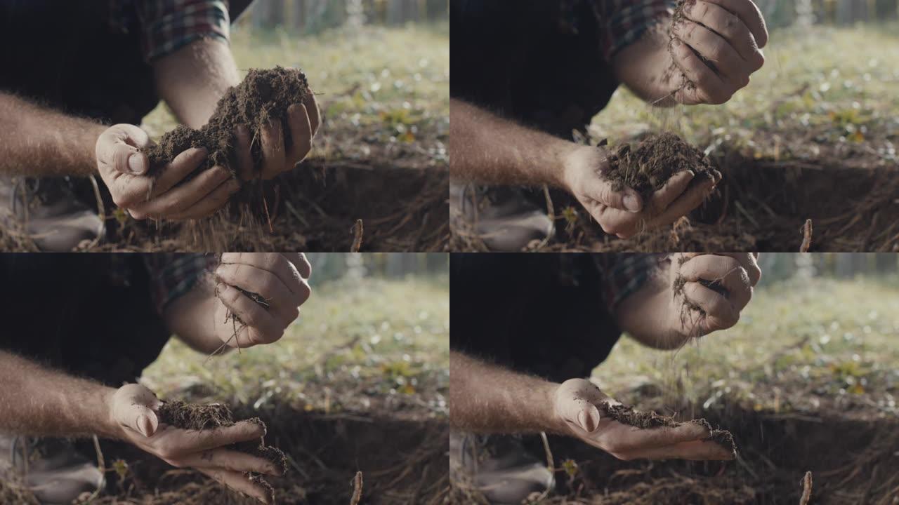 人类手握土壤