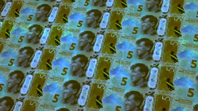 五美元的新西兰滚动钞票，现金