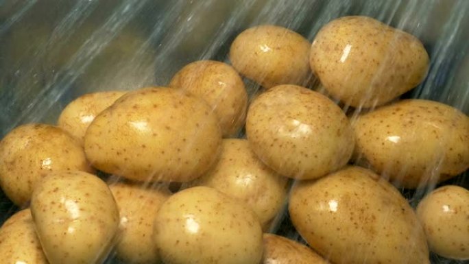 土豆在水槽里洗了农作物农产品