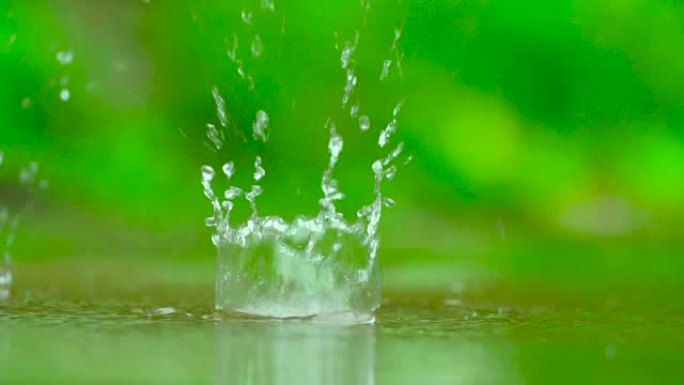 绿色背景的水滴雨水雨季溅起的水花下雨