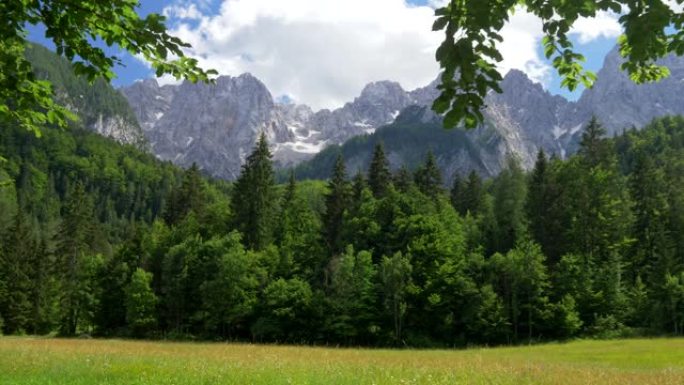 斯洛文尼亚特里格拉夫国家公园。草地，松树林和朱利安阿尔卑斯山的白雪皑皑的特里格拉夫山。蓝色多云的天空