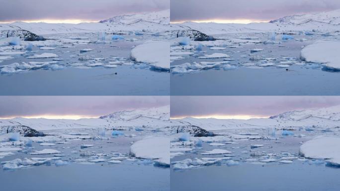 WS海豹在冰冷的偏远海洋中游泳，约库尔萨隆泻湖，冰岛