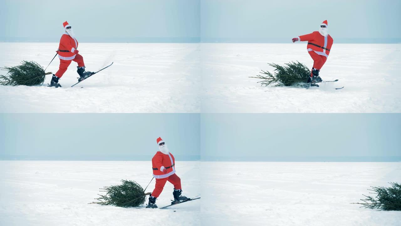 圣诞老人滑雪，拖着一棵圣诞树，侧视图。