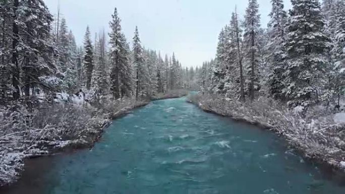 空中: 沿着穿过白雪皑皑的森林的翡翠色河流飞行。
