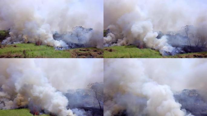 森林大火正在燃烧消防林火生态灾害灭火