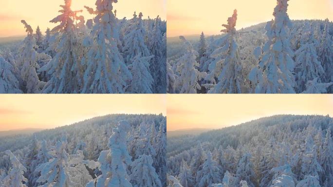 空中: 第一个冬季的阳光达到顶峰，覆盖着积雪的冰冻云杉树